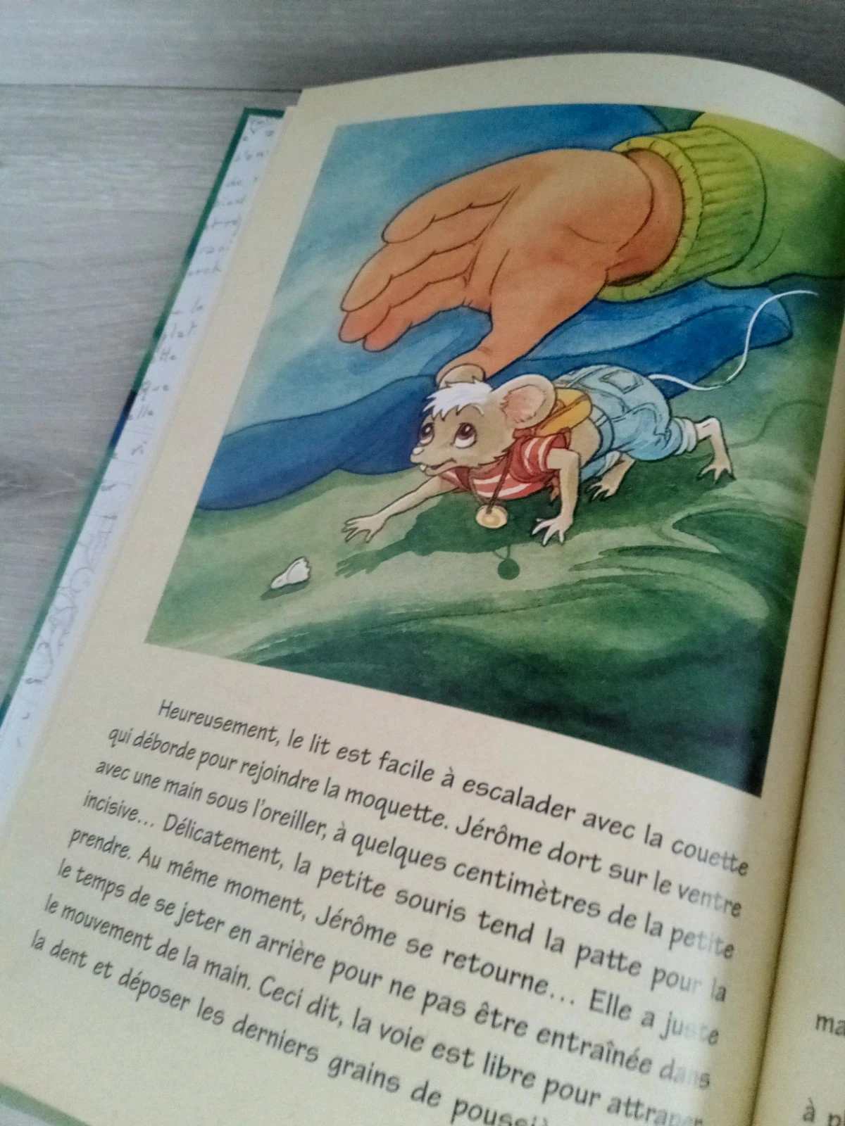 Boek + doosje de kleine muis – photo 7